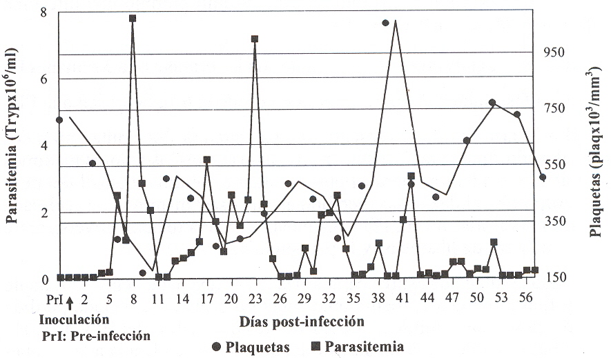 FIGURA 4. Variacin de los valores de la parasitemia (Tryp x 106/ml) y nmero de plaquetas (plaq x 103/mm3) en un ovino infectado con T. vivax.