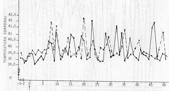 Grafica 2. Cursor de la temperatura corporal de ovinos infectados con Tripanosoma vivax Americano criopreservado por 3 aos (OP1) y por 4 aos (OP2). La flecha seala el da de la inoculacin (da 0).