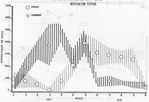Fig. 2 C.- Fluctuaciones en los huevos de trichostrogilinos en ovinos. Promedio mensual. 1977-1978