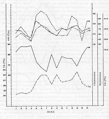 Fig. 1 Promedio diario de humedad relativa (HR). Temperatura Ambiental (TA), Temperatura Rectal (TR), Pulsaciones Cardiacas (PC) y Frecuencia Respiratorias (FR). Durante la poca lluviosa