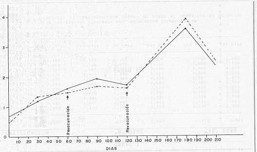 Grafico 1 Medidas de ISP obtenidas en sueros de bovinos vacunados y revacunados por va intranasal () y va intramuscular (----), con vacuna antiaftosa a V.V.A. (0 cura7 III pase Bov. Epitelio Lingual, Dil. 1/10)