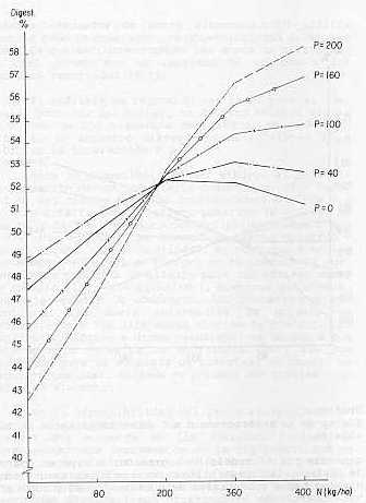 Grfico 3. Efecto de la interaccin N x p sobre la digestibilidad del kikuyo.