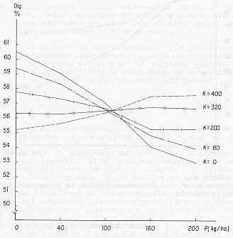 Grfico 4. Interaccin P x K sobre la digestibilidad de la alfalfa.