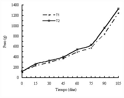 Figura 1. Peso de h�bridos de cachama x morocoto a diferentes edades, alimentados con dos concentrados comerciales; T1, alimento para cachama (28% PC); T2, alimento para tilapia (24% PC).