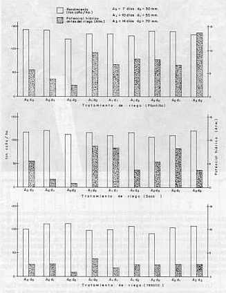 Figura 2. Comparaci�n entre el rendimiento (t ca�a/ha), el potencial h�drico y los tratamientos de riego, obtenidos durante la �poca de plantilla, soca y resoca en un suelo con problemas de estructuraci�n. Maracay. 1988.