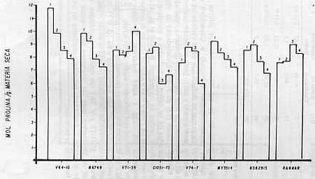 Fig. 2.�CONTENIDO PROMEDIO DE PROLINA POR VARIEDAD A LOS SIGUIENTES NIVELES DE HUMEDAD I = -0,30 MPa; 2 = -0,18 MPa; 3 = -0,08 MPa; 4 = -0,03 MPa.