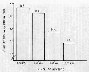 Fig. 1.�CONTENIDO PROMEDIO DE PROLINA EN LOS CUATRO NIVELES DE HUMEDAD. LETRAS DIFERENTES INDICAN DIFERENCIAS AL 1% SEG�N PRUEBA DE TUKEY.
